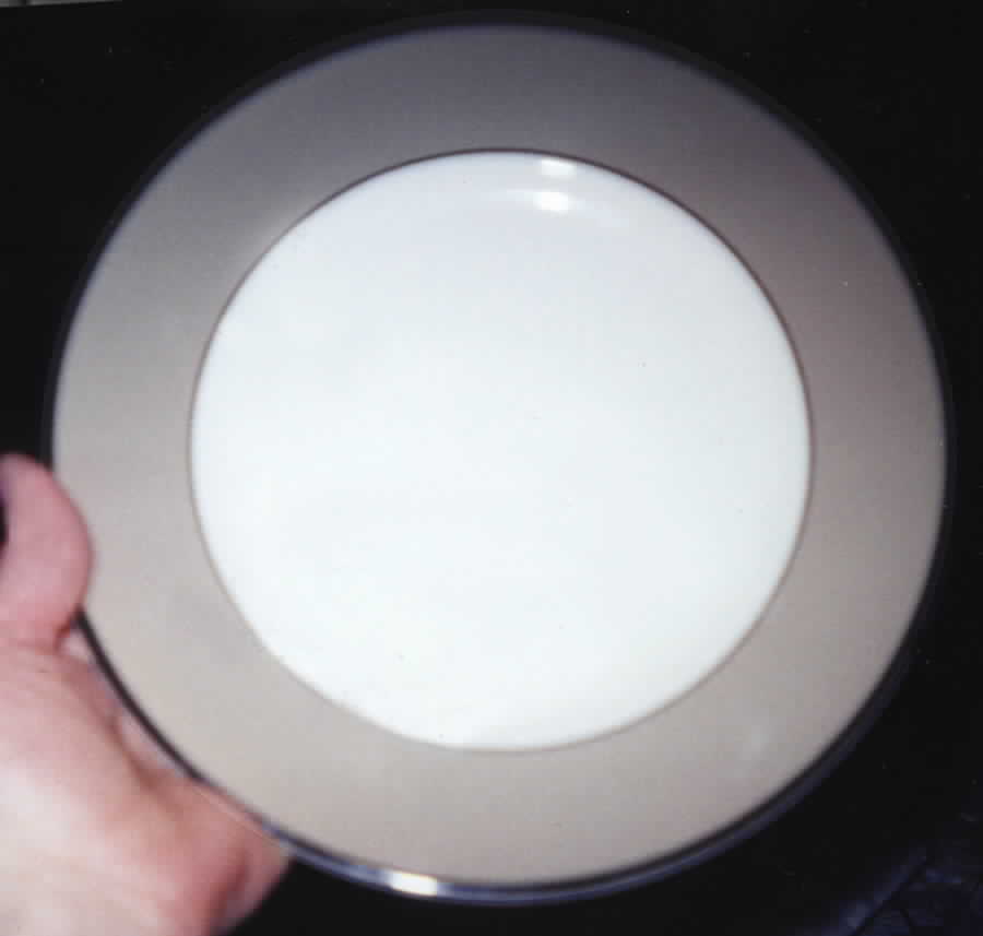PGN24 Dinner Plate by Pagnossin-1