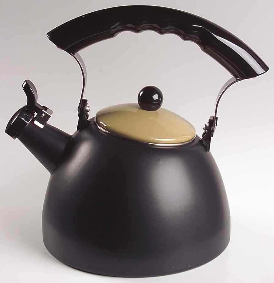 Radius Metal Whistler Kettle & Lid by Pfaltzgraff-1