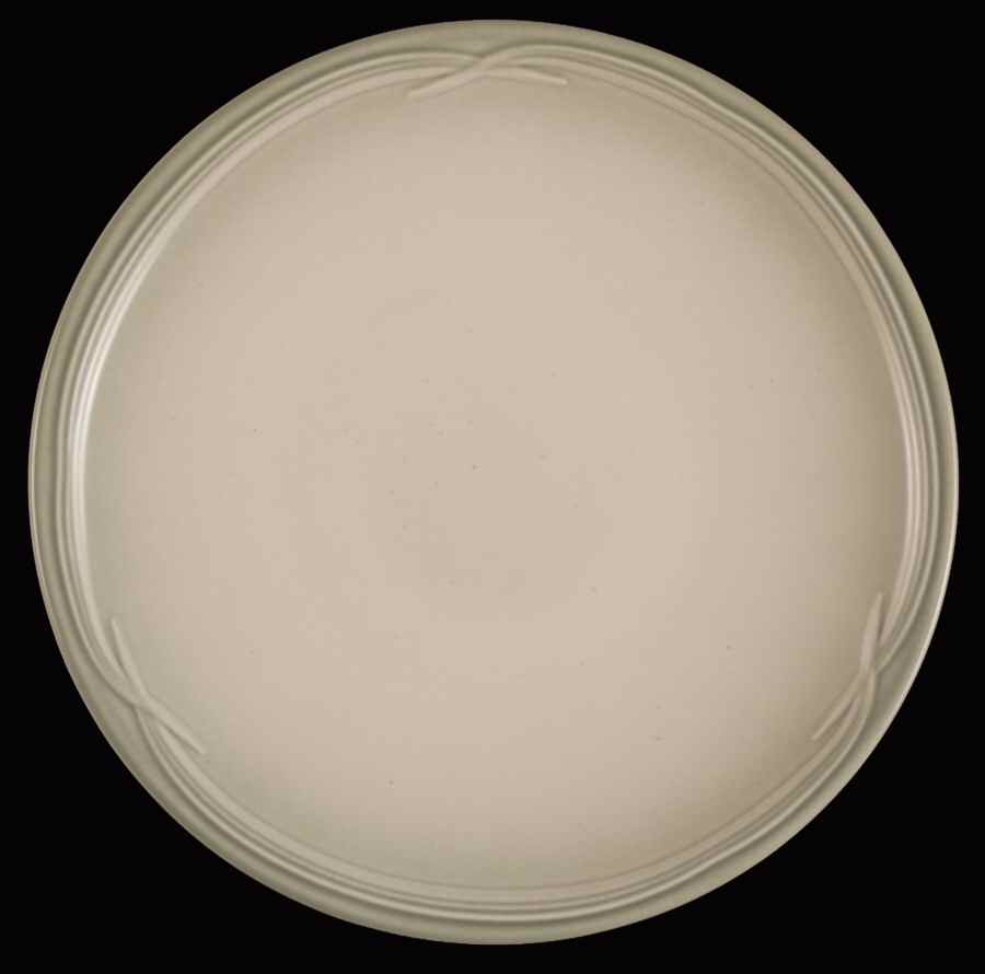 Winterwood (Canvas Tan) Salad Plate by Pfaltzgraff-1