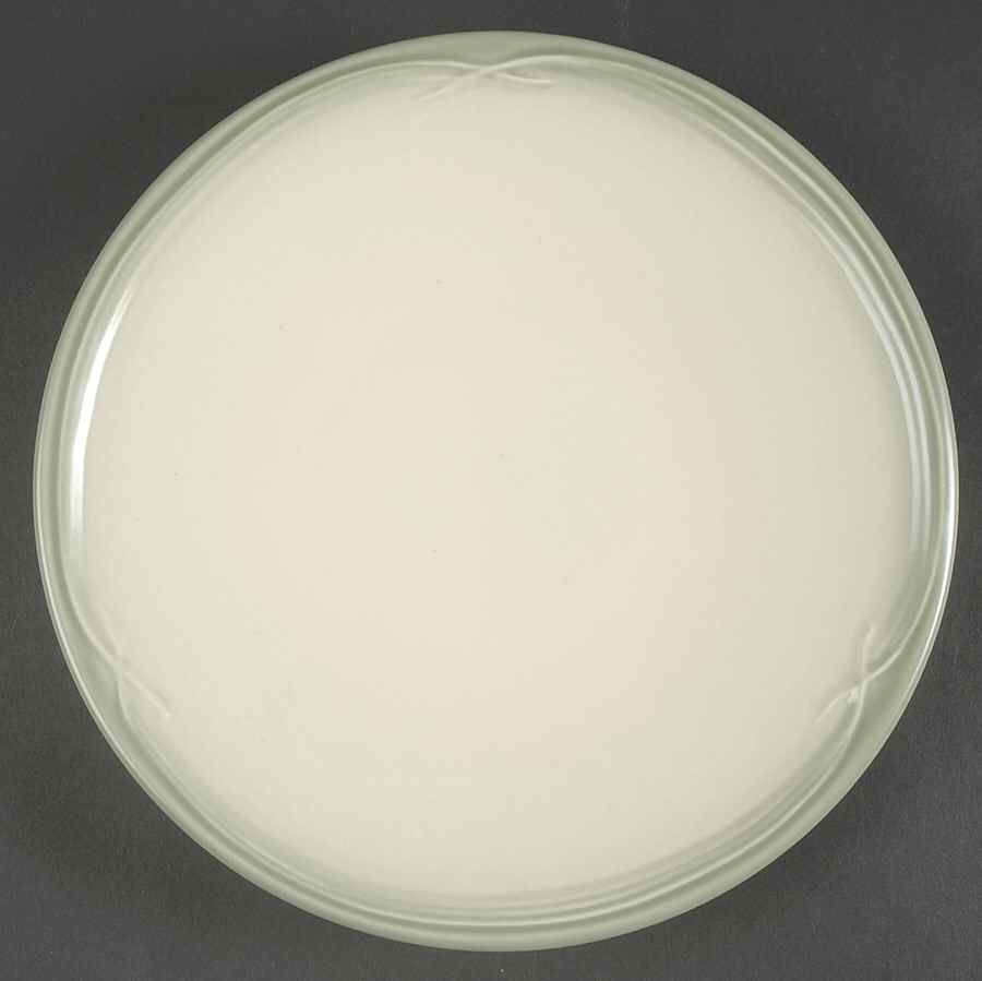 Winterwood (Canvas Tan) 9" Round Buffet Plate by Pfaltzgraff-1
