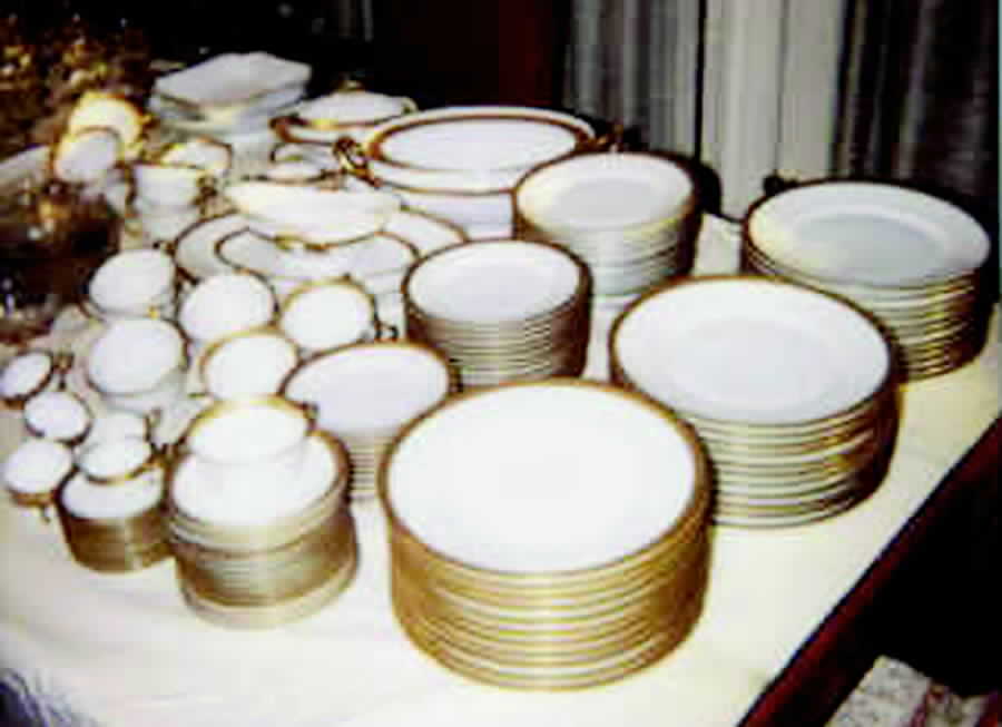 PIR89 Dinner Plate by Pirkenhammer-1