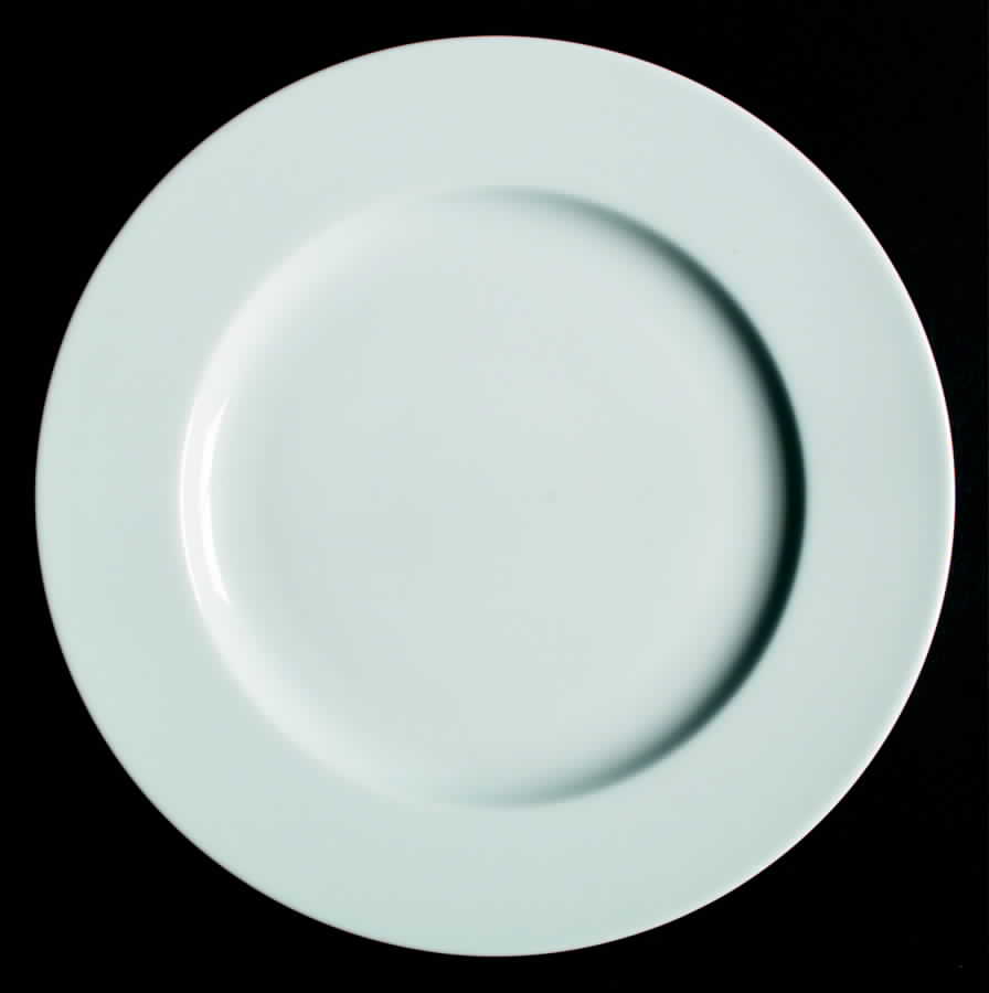 PLI9 Dinner Plate by Porcelaine de Limoges-1