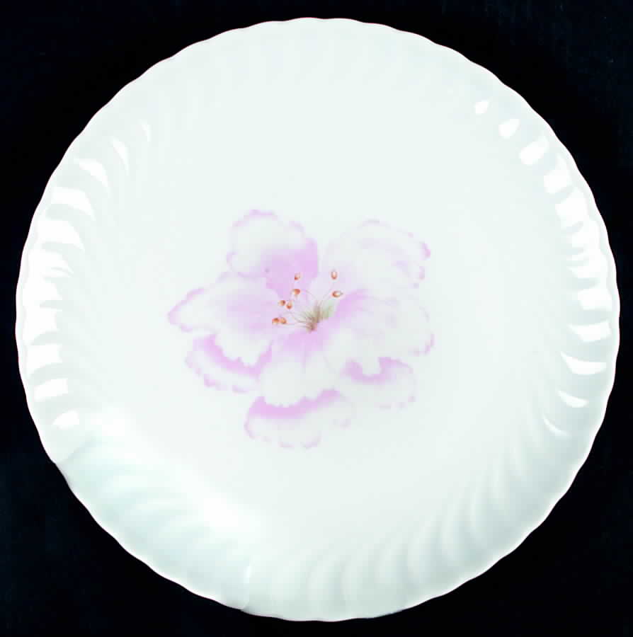 PLI10 Dinner Plate by Porcelaine de Limoges-1