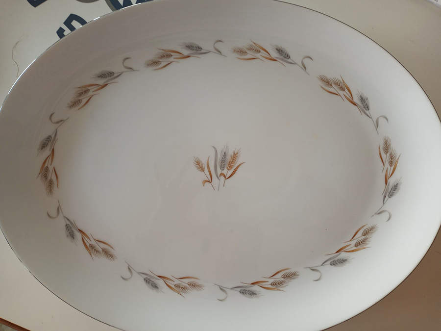 Carousel 16" Oval Serving Platter by Princess (Japan)-1
