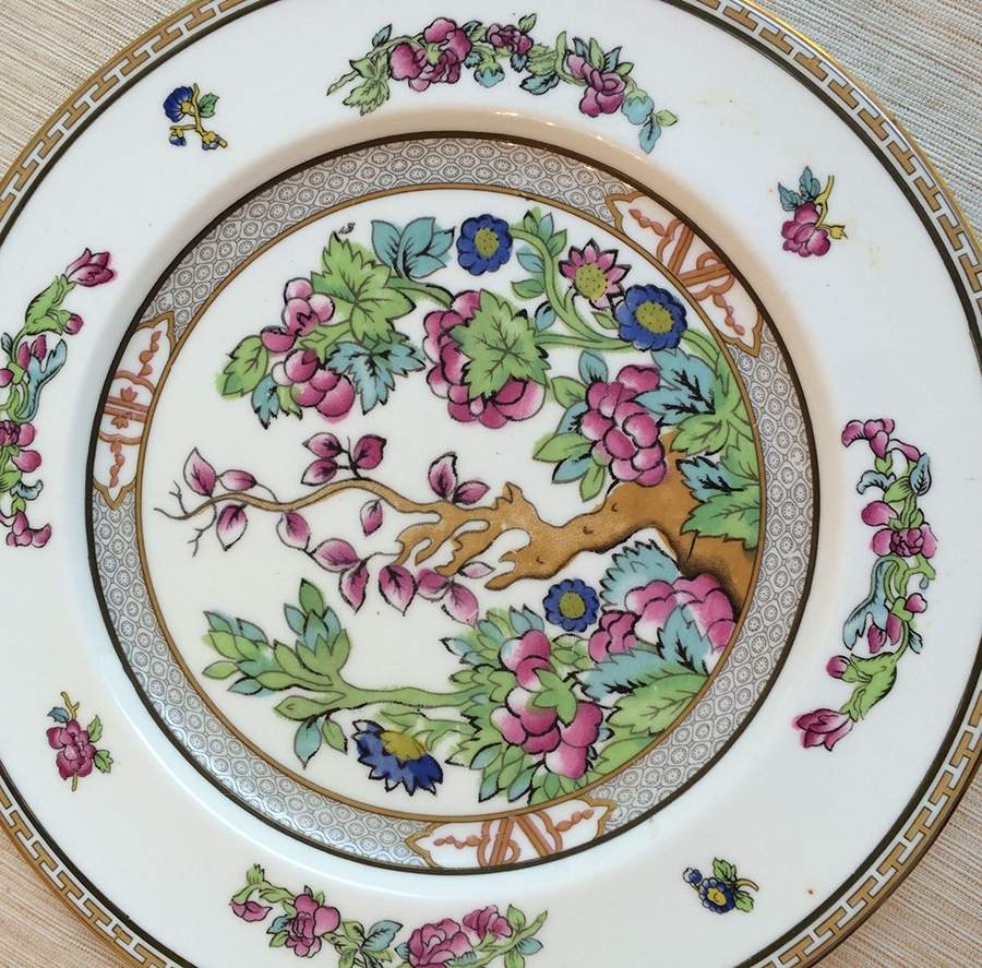 Indian Tree (Smooth, Gold Trim) Dinner Plate by Paragon-1