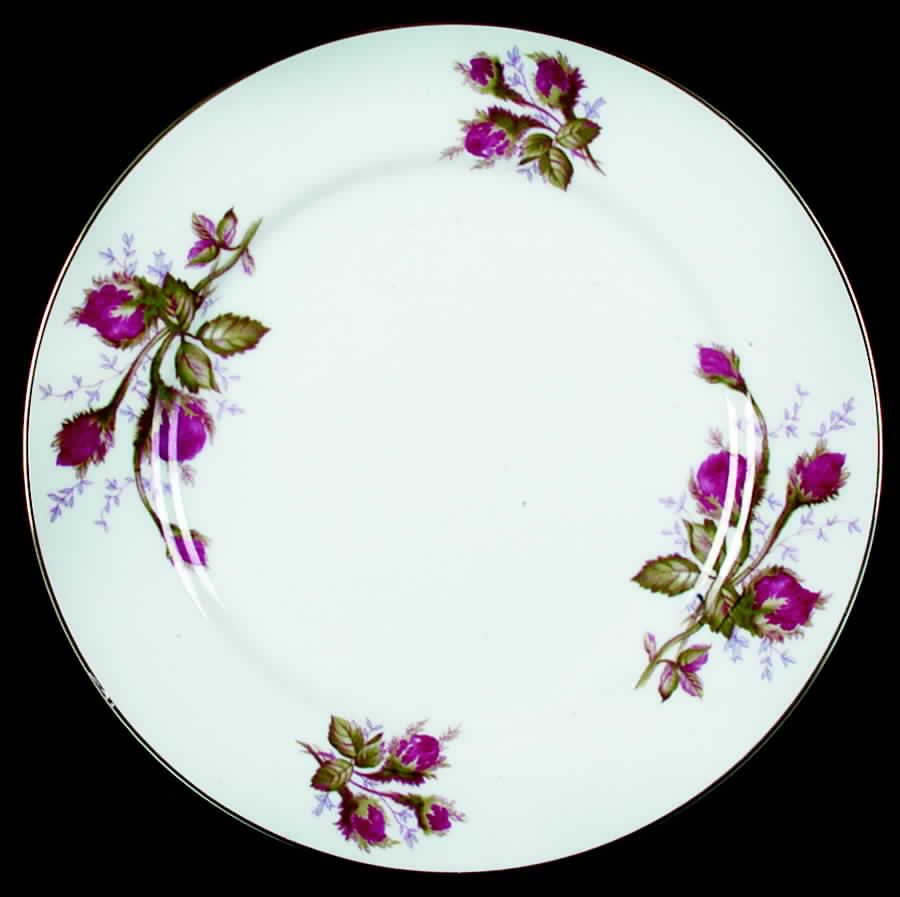 PCF5 Dinner Plate by Pacific China-1