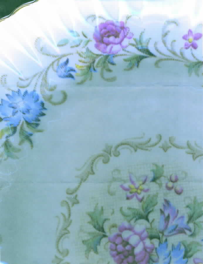 624 Dinner Plate by Paragon-1