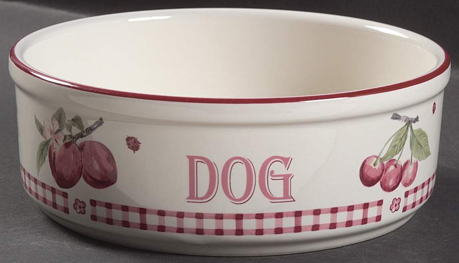 Delicious Dog Bowl by Pfaltzgraff-1