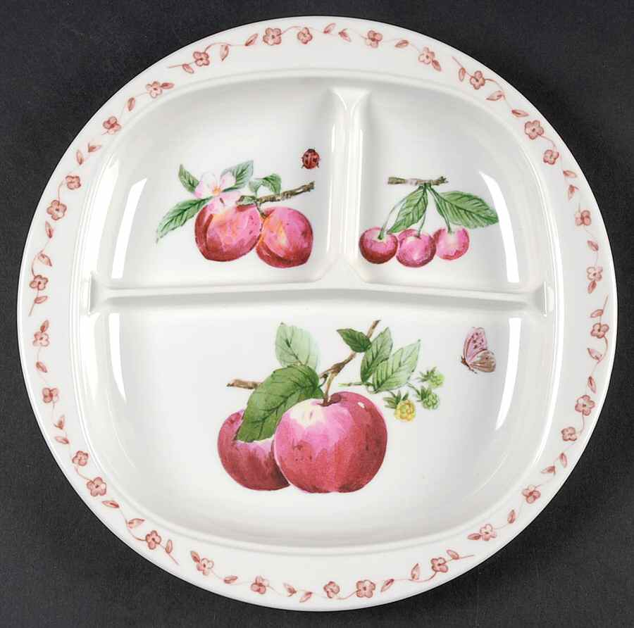 Delicious Melamine Adult Divided Plate by Pfaltzgraff-1