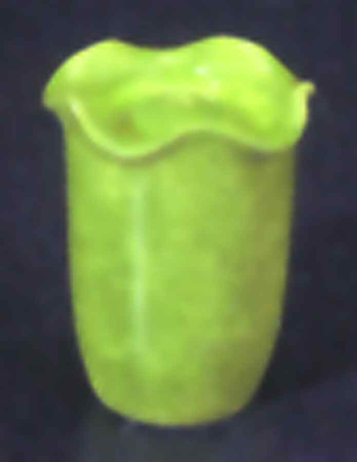 Onde Verde (Medium Green) Pepper Shaker by Presenttense-1