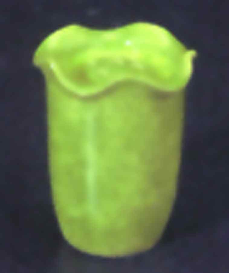 Onde Verde (Medium Green) Salt Shaker by Presenttense-1
