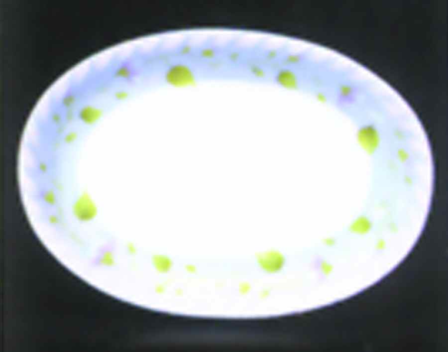 Meredith 16" Oval Serving Platter by Presenttense-1