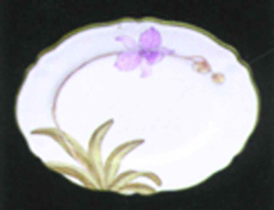 Orchid Garden (Accessories) 14" Oval Serving Platter by Presenttense-1
