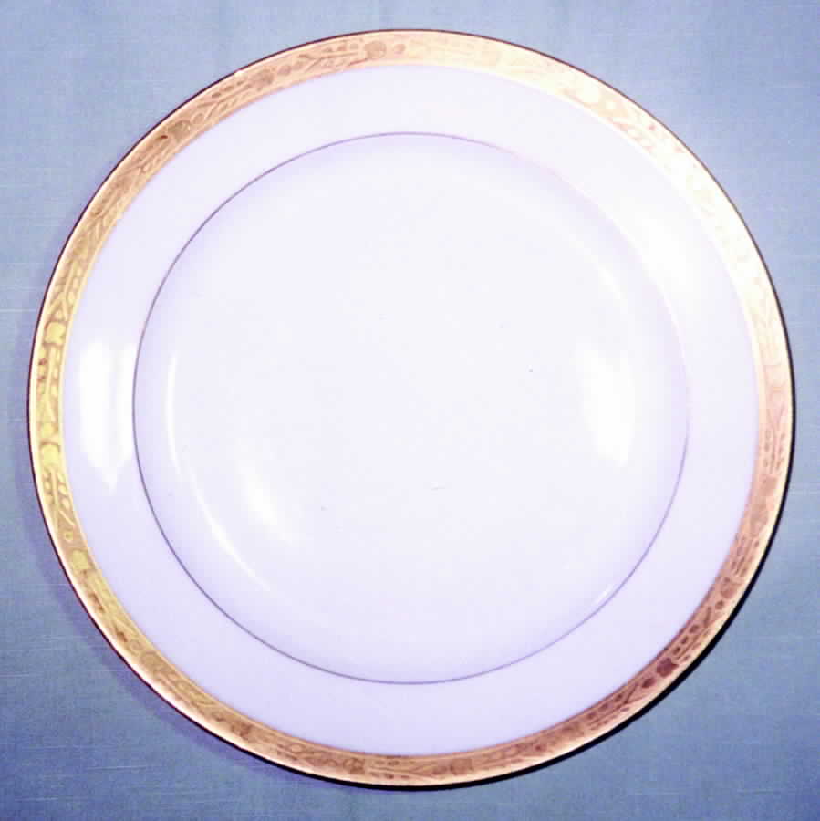 PL34 Dinner Plate by Porcelaine Limousine-1