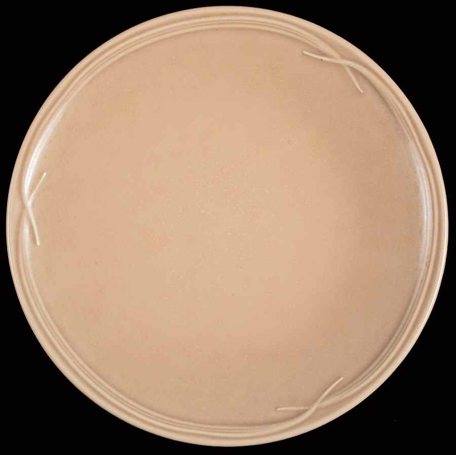 Water's Edge Driftwood Dinner Plate by Pfaltzgraff-1