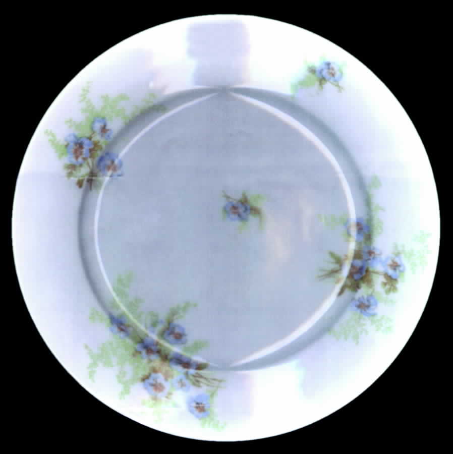 POY406 Luncheon Plate by Jean Pouyat-1