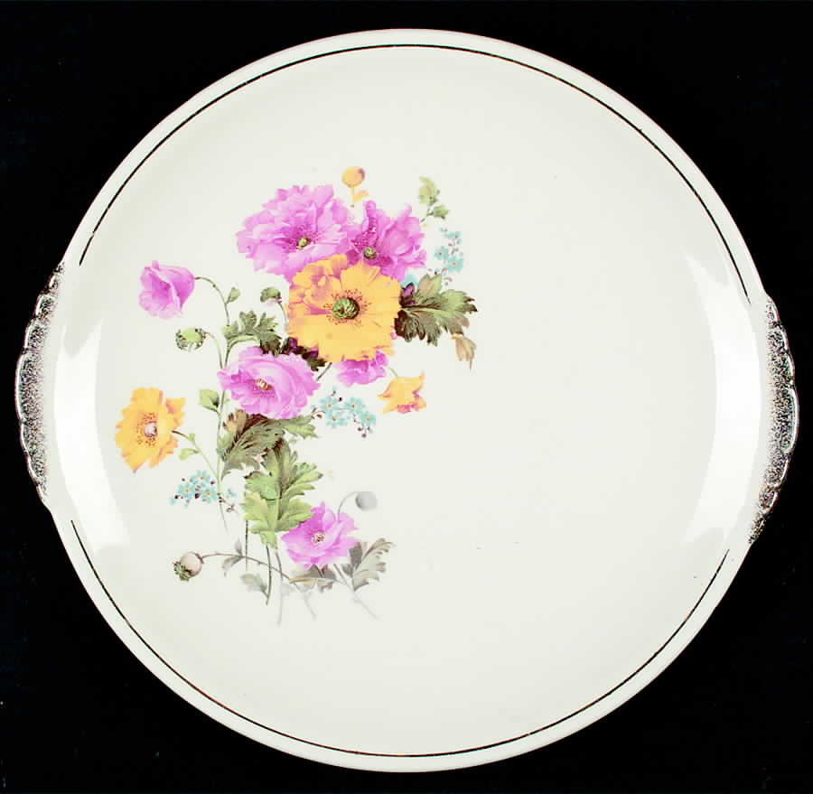 PCP201 Dinner Plate by Paden City-1