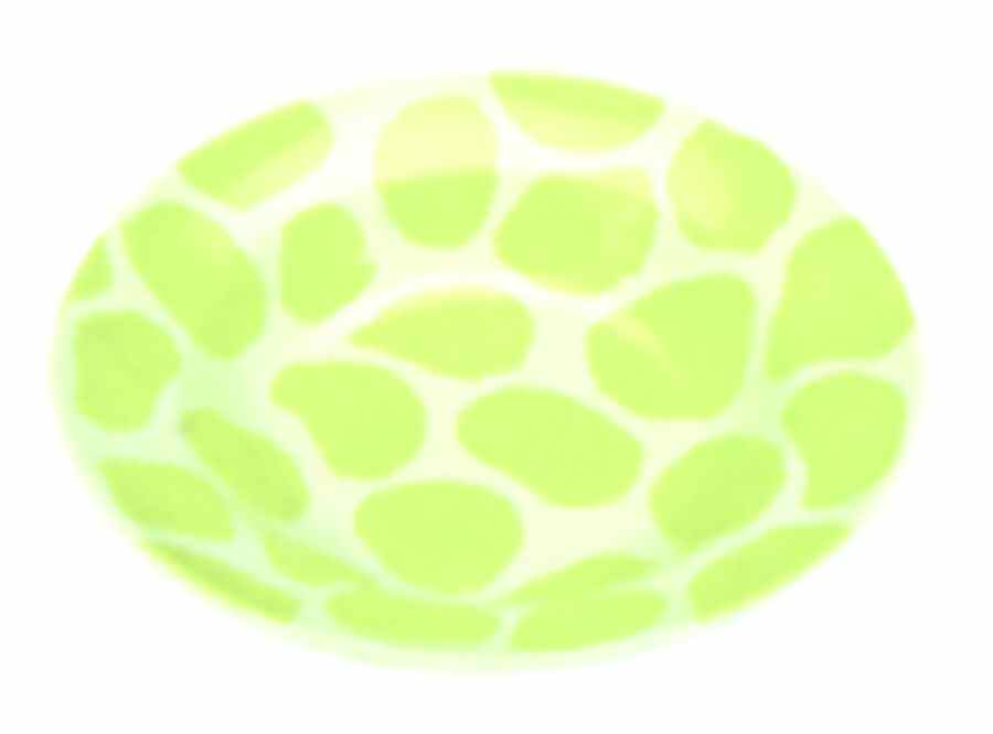 Fingerpaint Green 13" Large Salad Serving Bowl by Presenttense-1