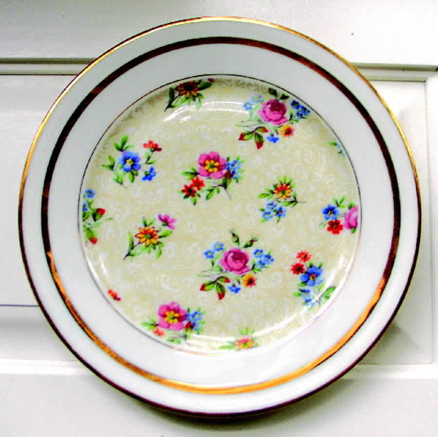 Pl35 Salad Plate by Porcelaine Limousine-1