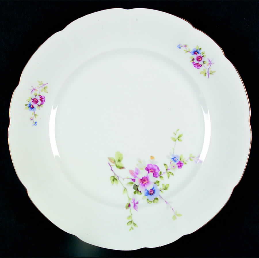 Pir107 Dinner Plate by Pirkenhammer-1