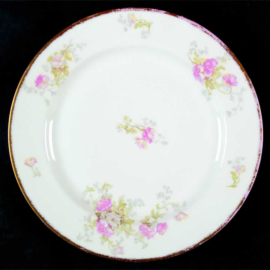 Poy425 Dinner Plate by Jean Pouyat-1