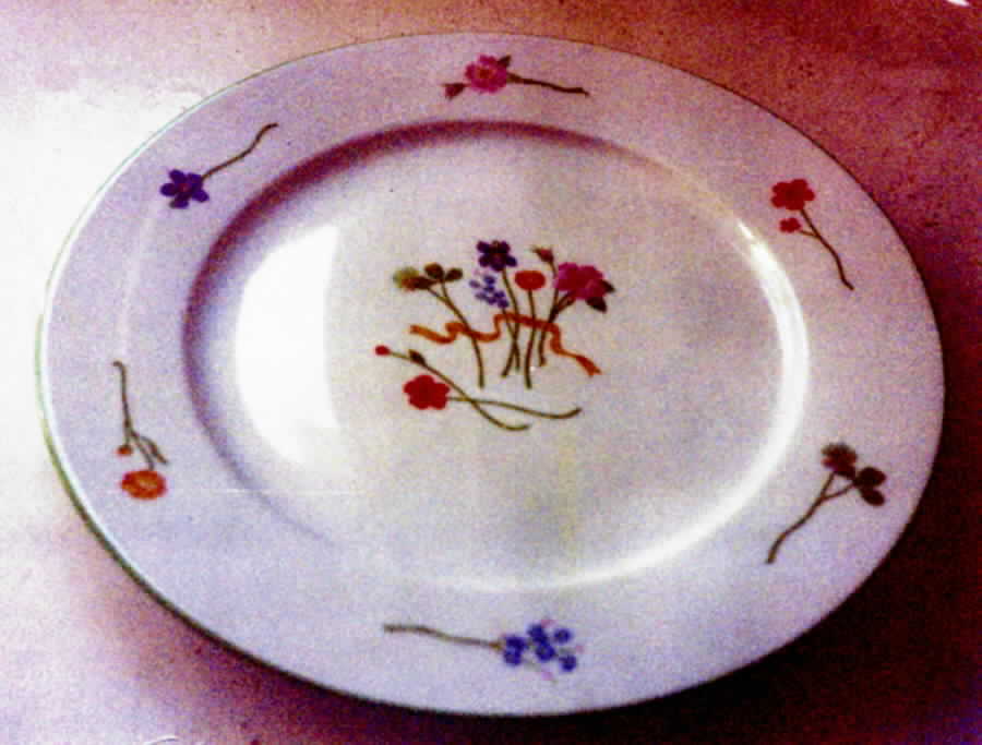 Farandole Dinner Plate by Pillivuyt-1