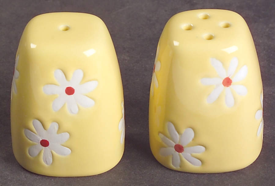 Dazee Sun Individual Salt & Pepper Set by Pfaltzgraff-1