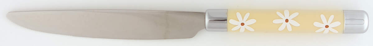 Dazee Sun Small Dinner Knife by Pfaltzgraff-1