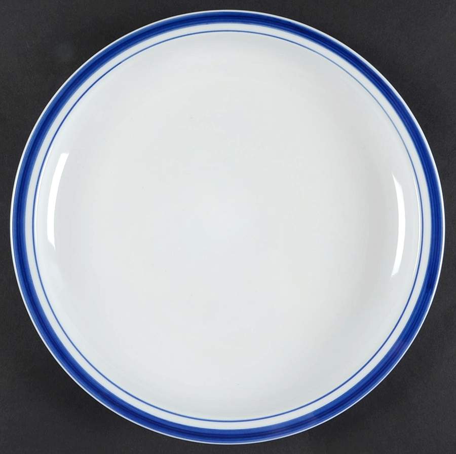 PBA26 Dinner Plate by Pottery Barn China-1