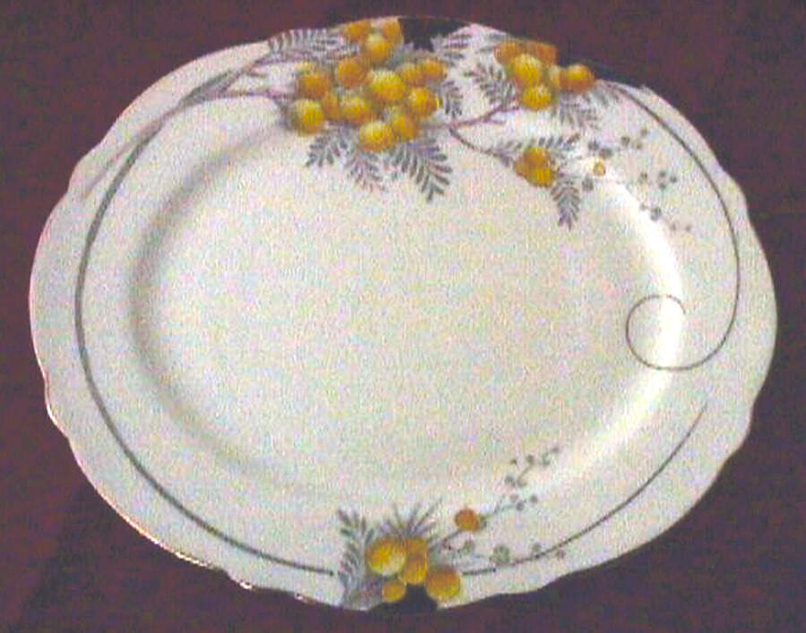 G1645 Dinner Plate by Paragon-1
