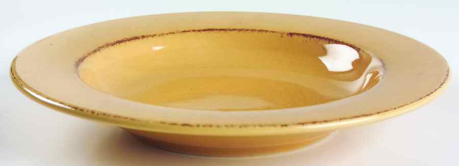 Toscana Gold 9" Soup/Pasta Bowl by Pier 1-1