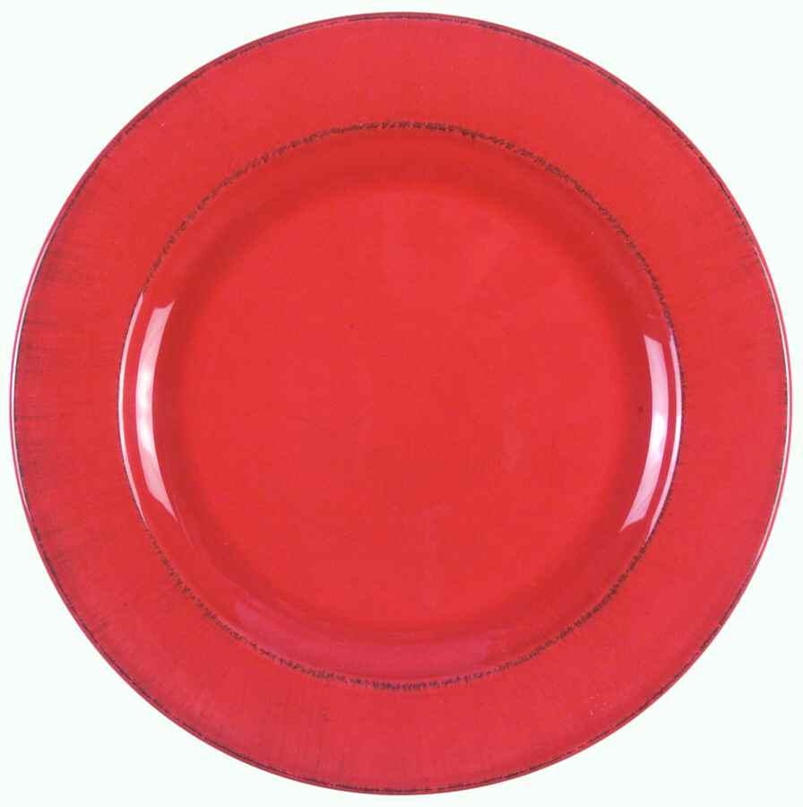 Toscana Terra Cotta Dinner Plate by Pier 1-1