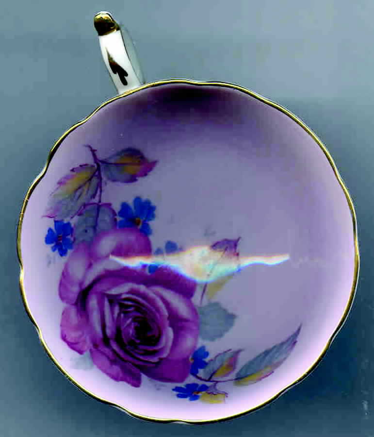 S6117 Footed Cup by Paragon-1