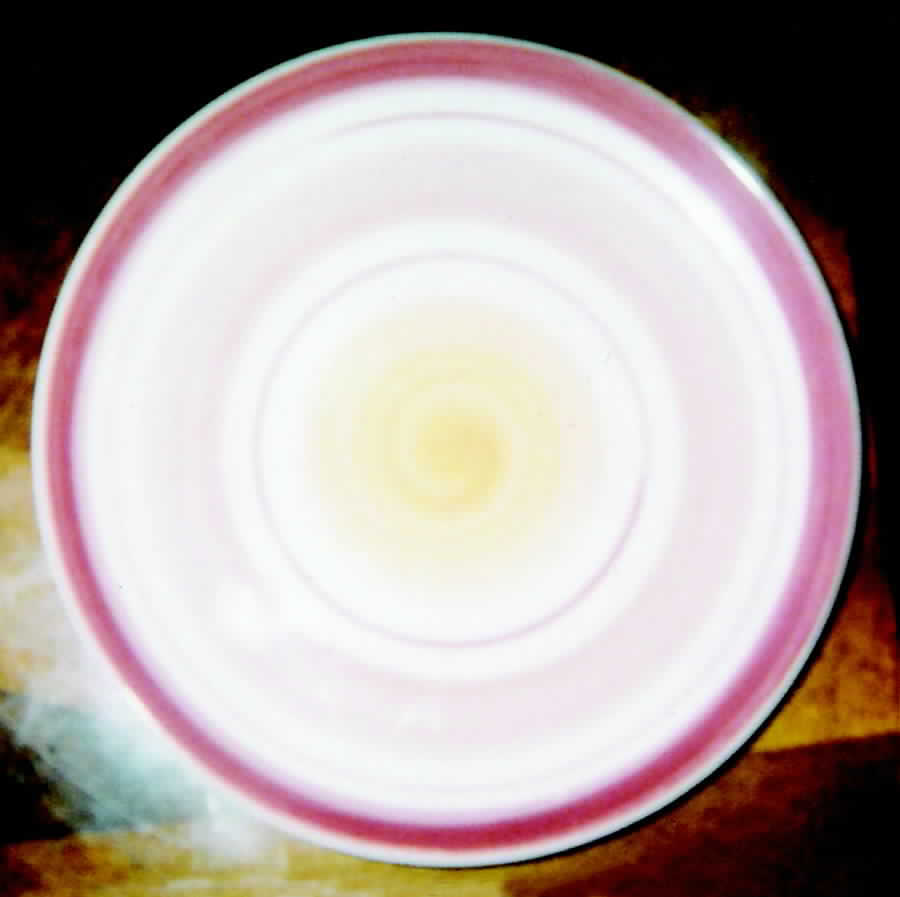 POR48 Dinner Plate by Portugal-1