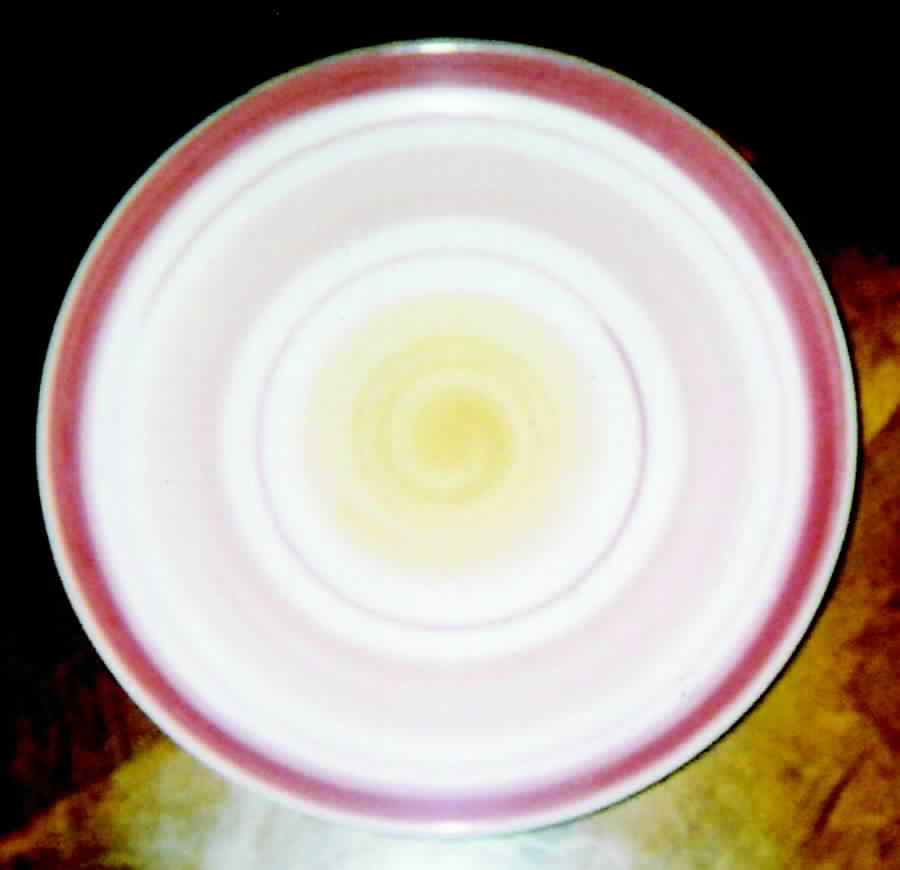 POR48 Salad Plate by Portugal-1