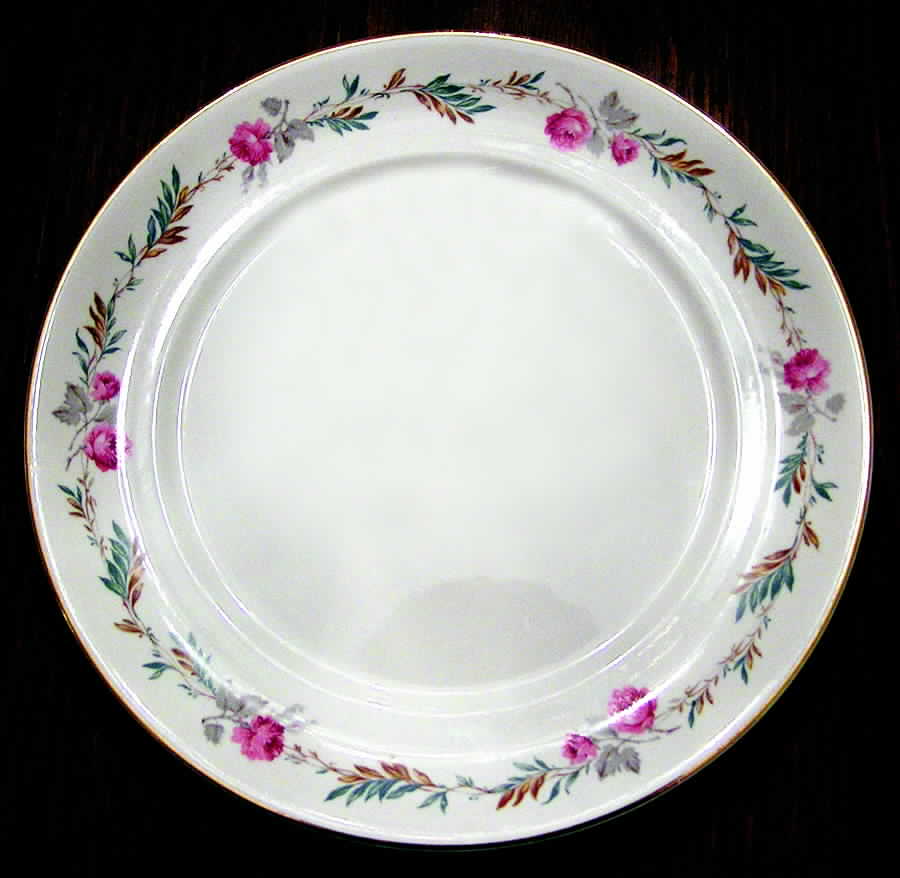POP219 Dinner Plate by Pope Gosser-1