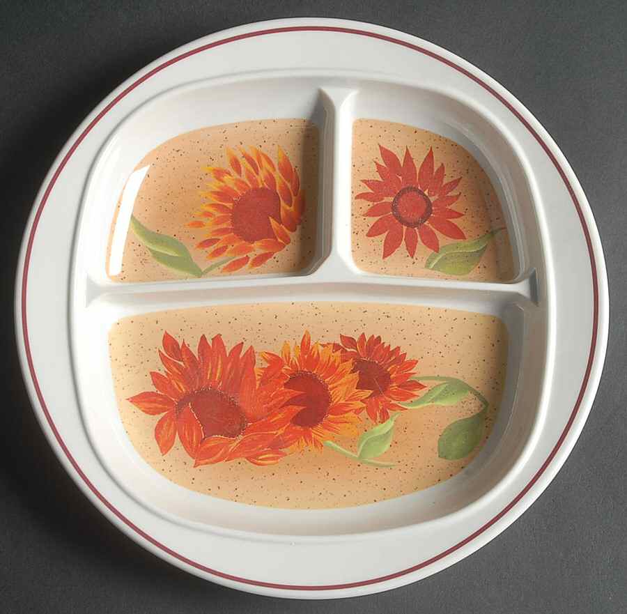 Evening Sun Melamine Adult Divided Plate by Pfaltzgraff-1