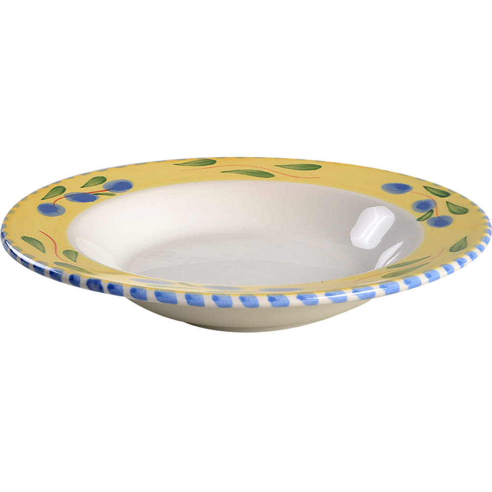 Palermo Rim Soup Bowl by Pier 1-1