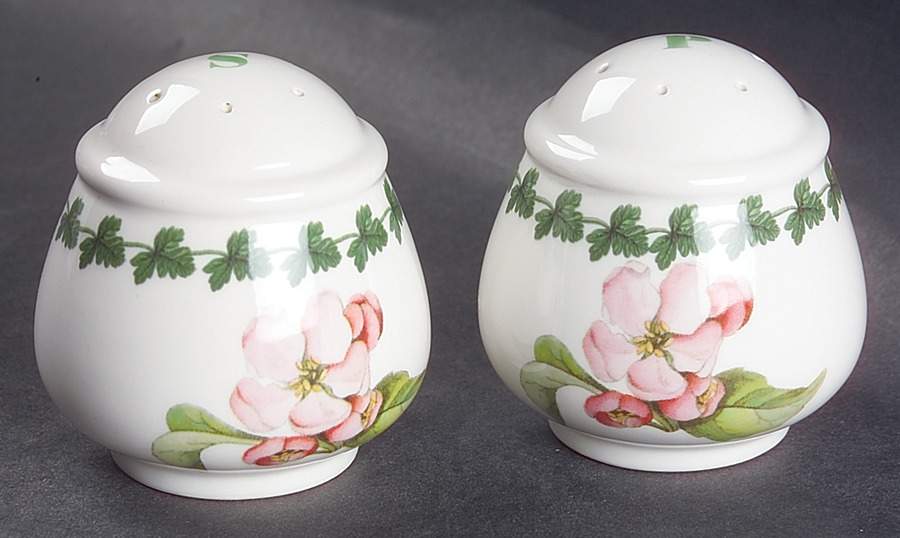Apple Harvest Salt & Pepper Set by Portmeirion-1