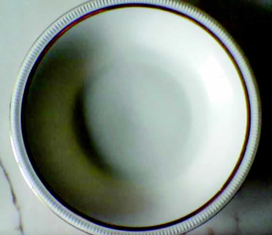 Tosca Coupe Soup Bowl by Pirkenhammer-1