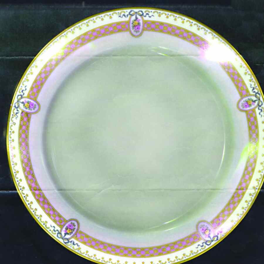 PL40 Salad Plate by Porcelaine Limousine-1