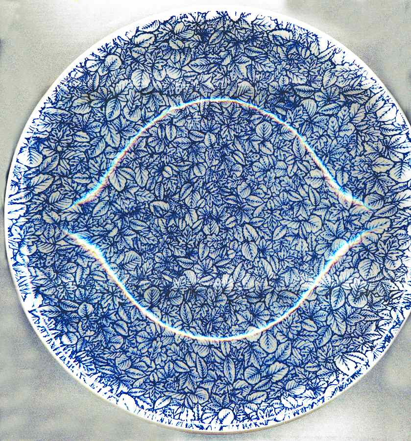 PGN39 Coupe Soup Bowl by Pagnossin-1