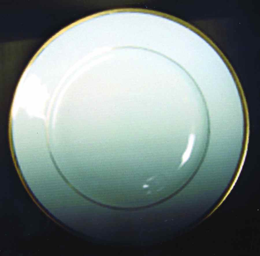 5676 (Henri Shape) Dinner Plate by Porcelaine Lafarge-1