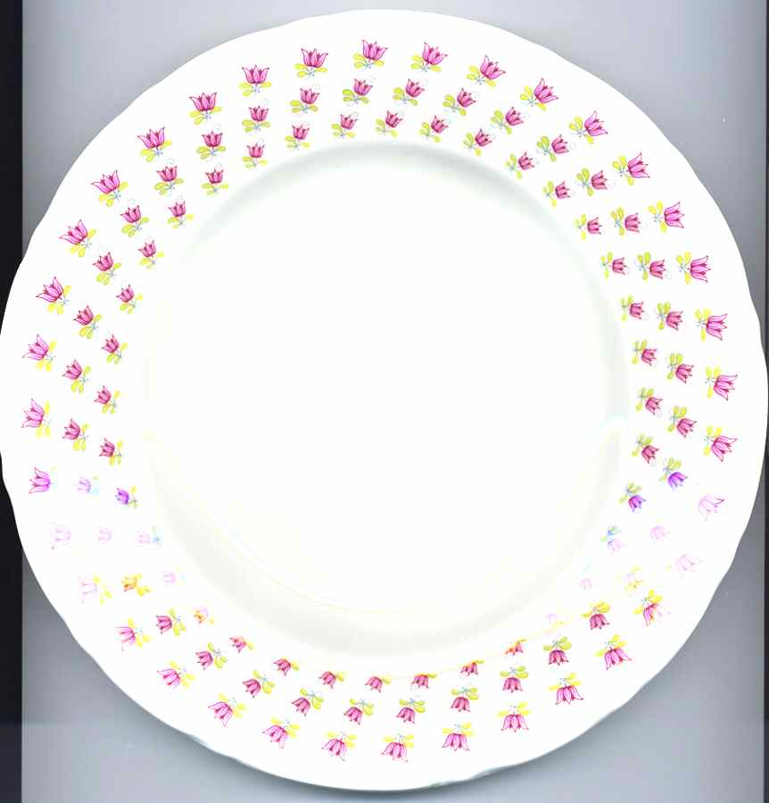 PNT18 Salad Plate by Pontesa-1