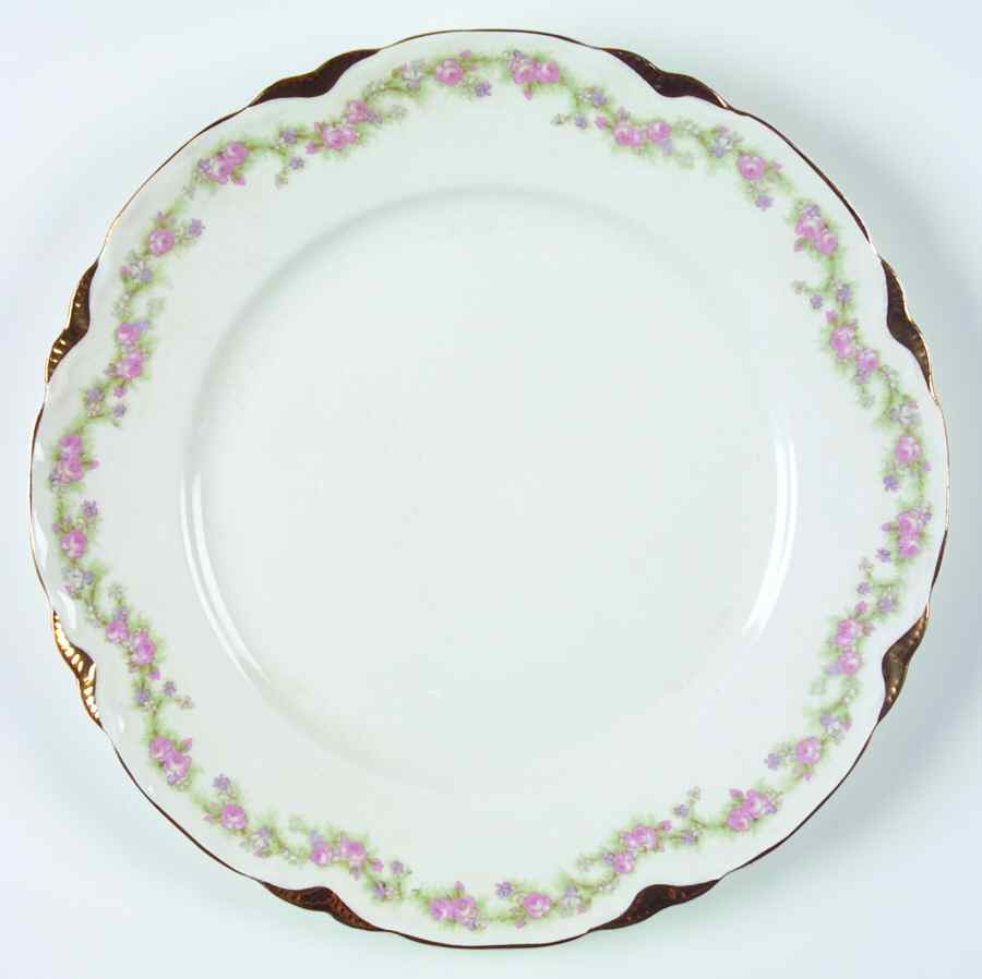 POP227 Dinner Plate by Pope Gosser-1