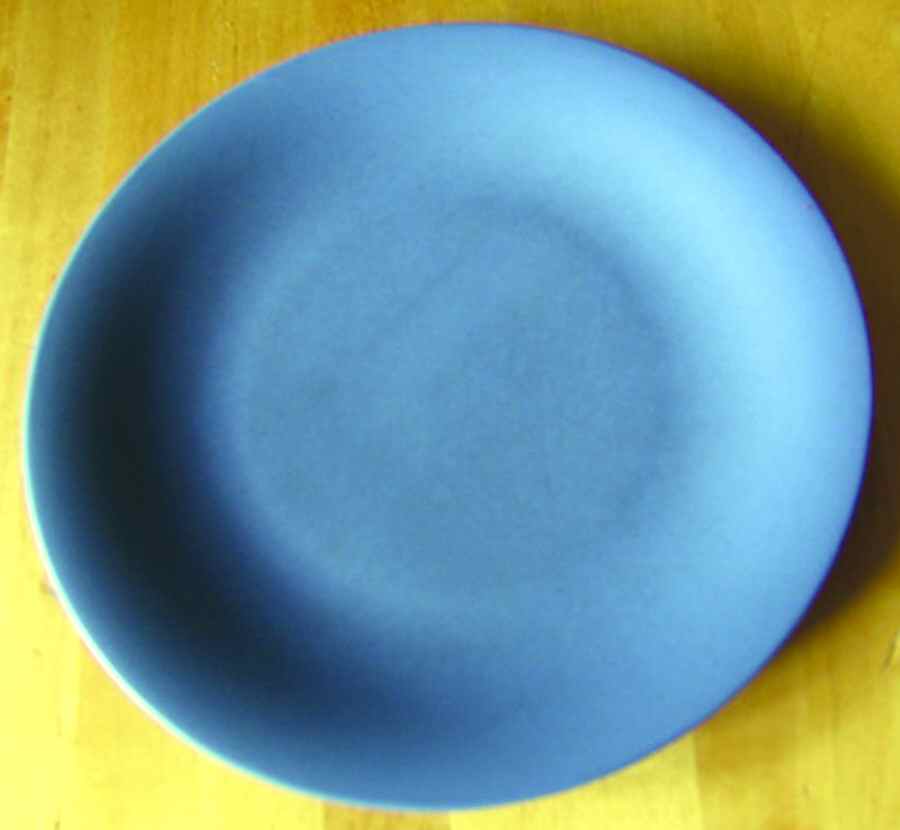 Ellipse Blue Dinner Plate by Pottery Barn China-1