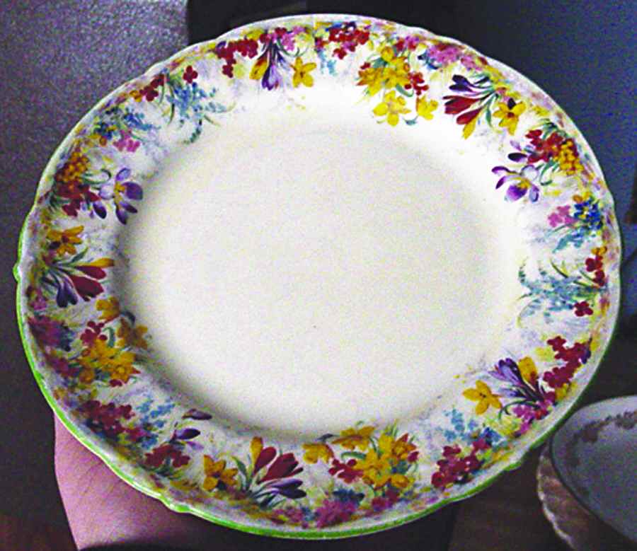PAR120 Dinner Plate by Paragon-1