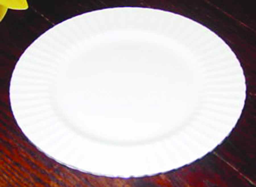 497 Dinner Plate by Paragon-1