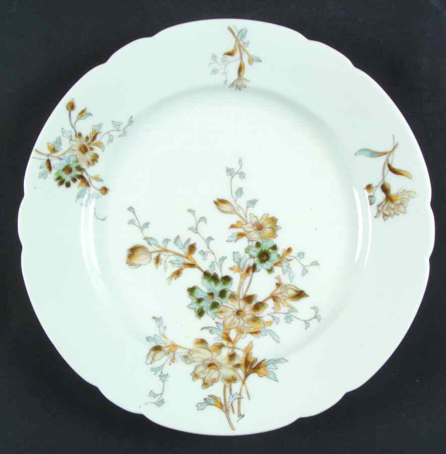 5000-2 Dinner Plate by P H Leonard-1