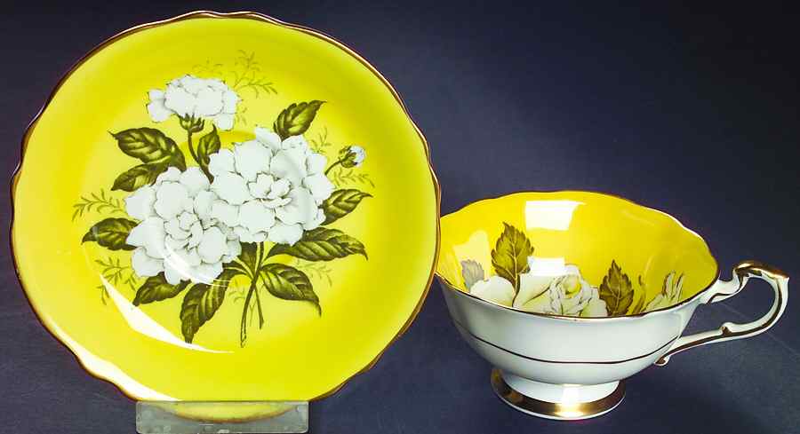 Gardenia Footed Cup & Saucer Set by Paragon-1